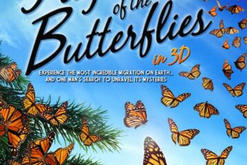 Flight of the Butterflies