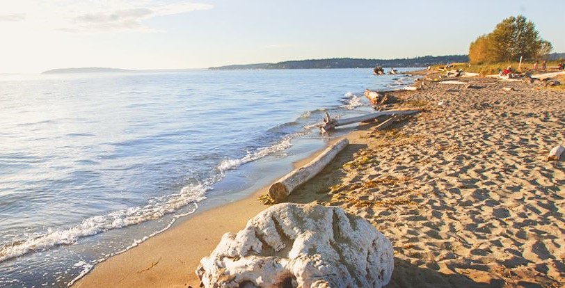 Sandy beach at Jetty Island beach near Everett, Washington