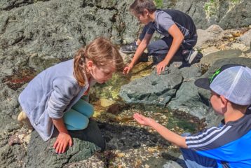 Tide pool
