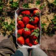 Berries