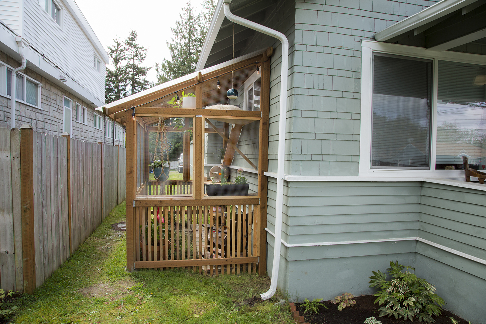 catio