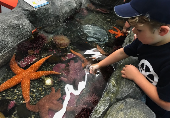 Tidal Touch Zone