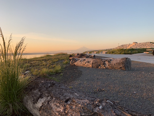 Dune Peninsula Park