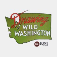 graphic element/ map of Washington