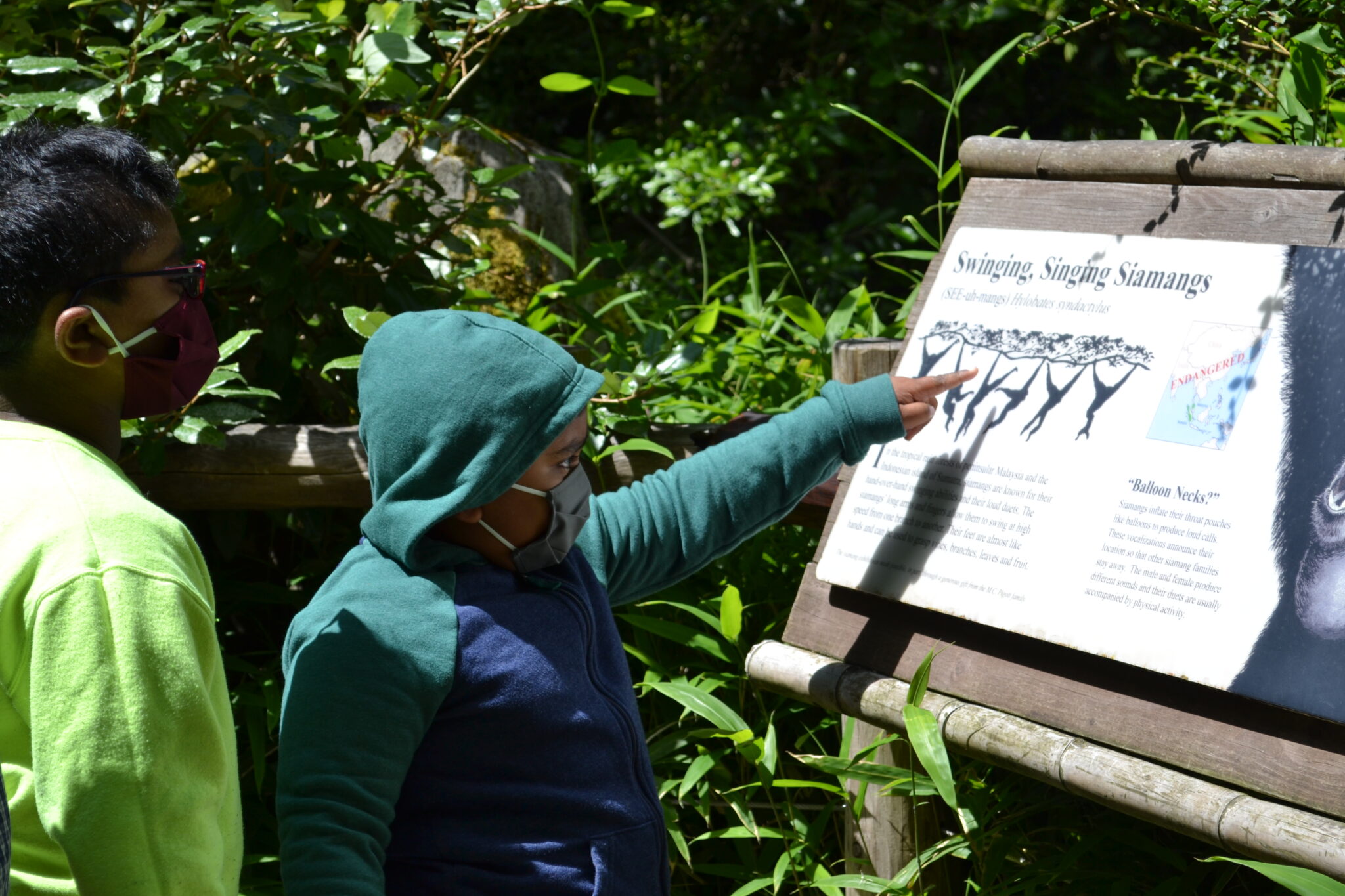 Woodland Park Zoo