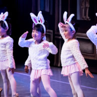 virtual events: 12 dancing princesses, the non-virtual version