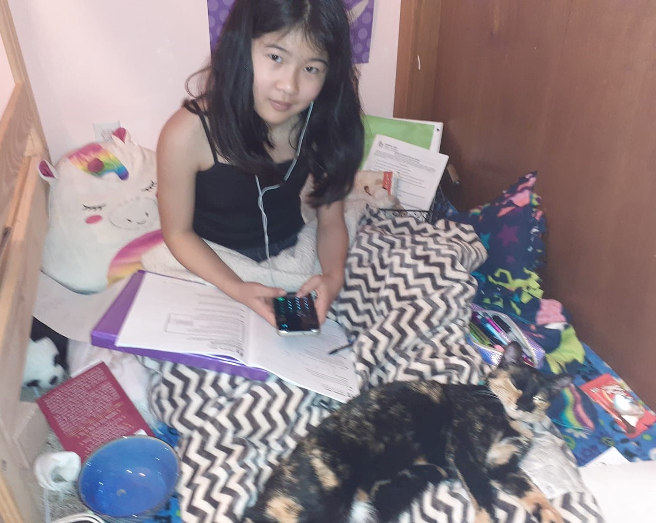 remote learning