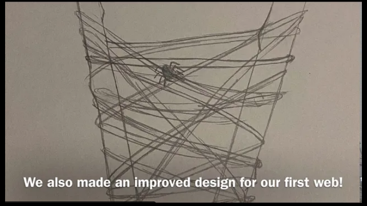 Weekend picks! Spider in a web, with caption "We also made an improved design for our first web!