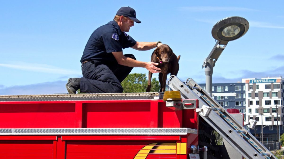 Erika's picks: Fire day at MOHAI