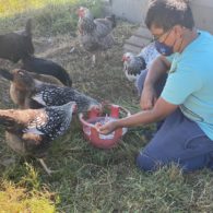 Carnation Farms: Our reviewers older son, Nikhil, feeds chickens