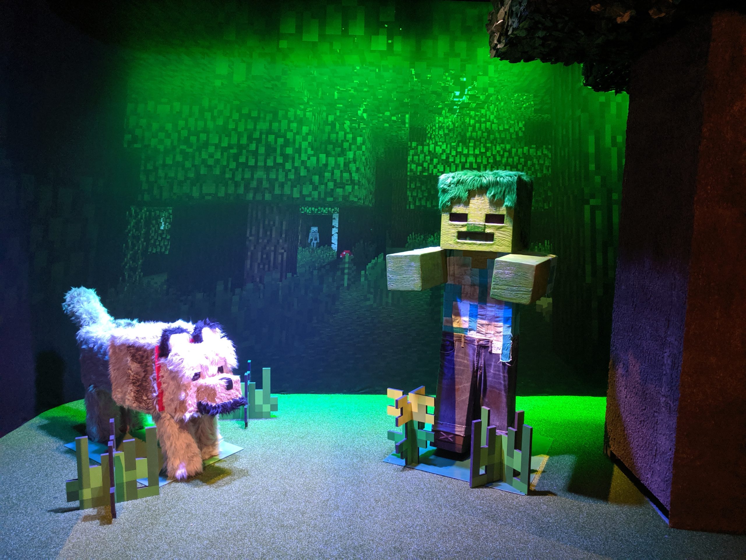 minecraft review photo by JIll O'Connor, revised on 9/30/20