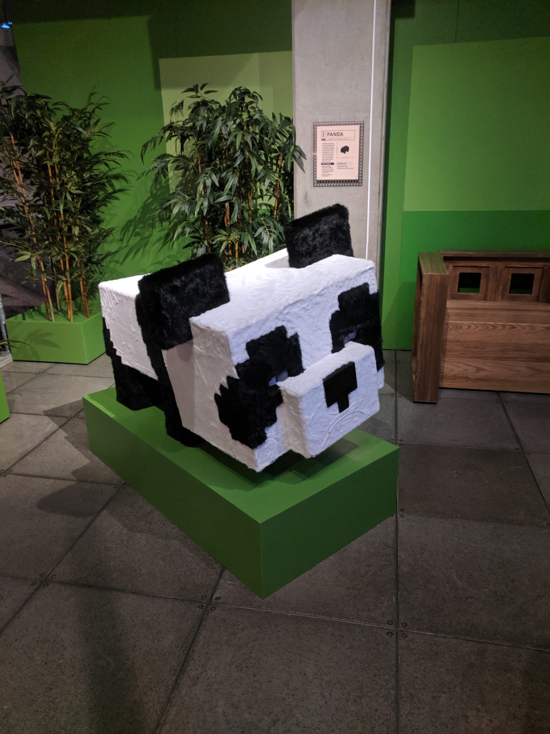 minecraft review photo by JIll O'Connor, revised on 9/30/20