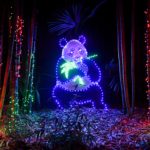 Zoolights