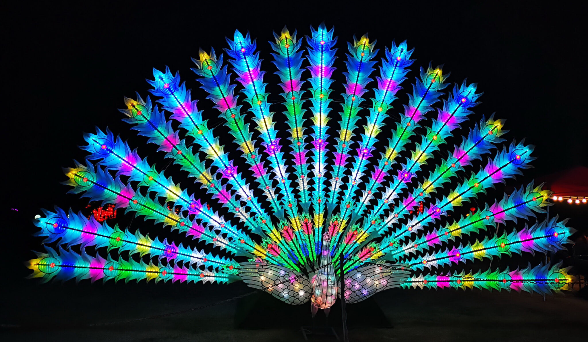 WildLanterns at Woodland Park