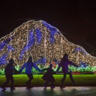 Zoolights 2021