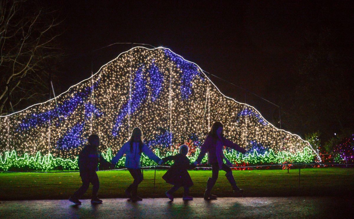Zoolights 2021