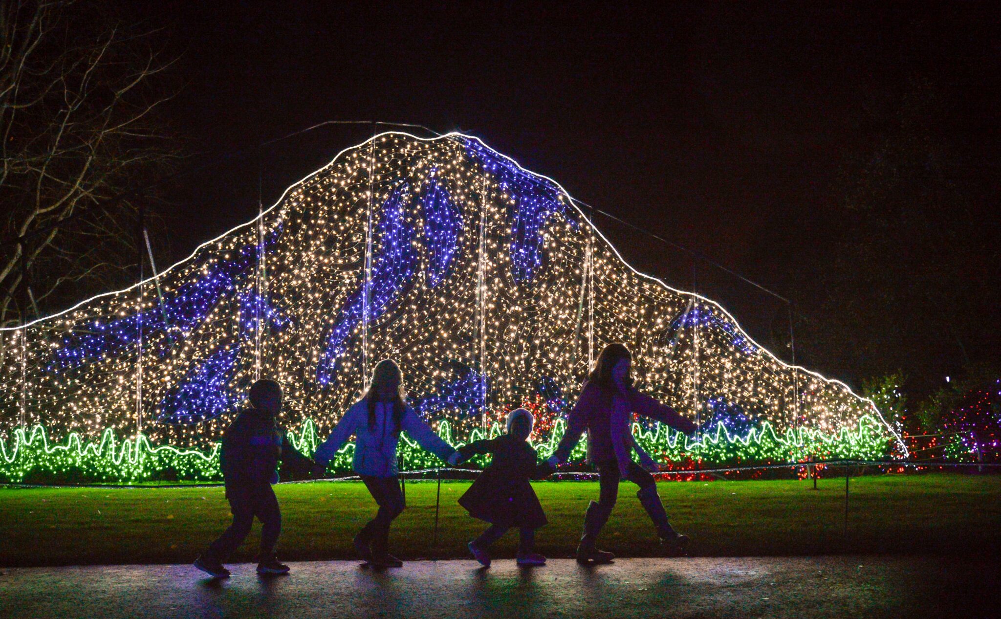 Zoolights 2021