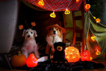 Halloween campout
