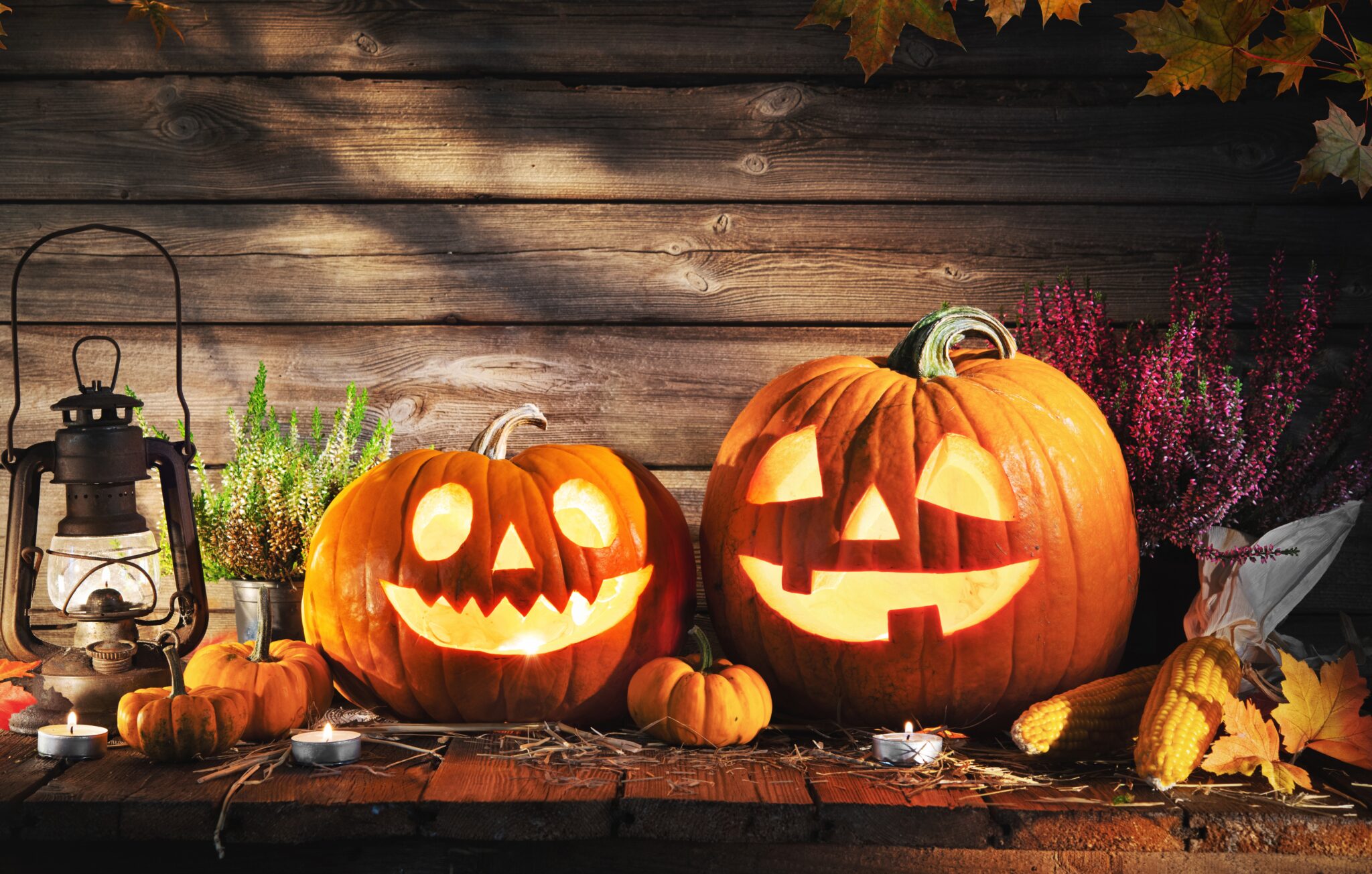 pumpkin carving tips