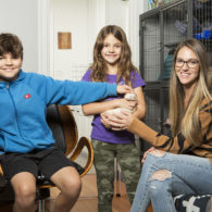 new pet ferret November 2020