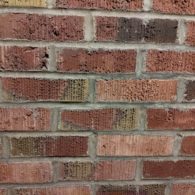 schools reopening 11/2020