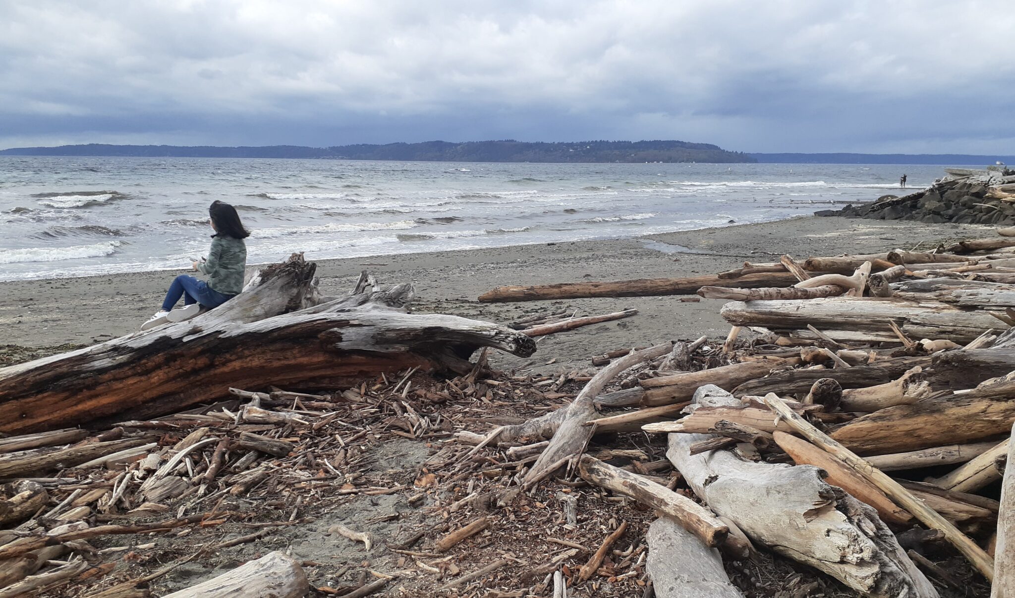 Saltwater State Park beach in Des Moines, Washington, with gray sky and calm Puget Sound shoreline in late fall