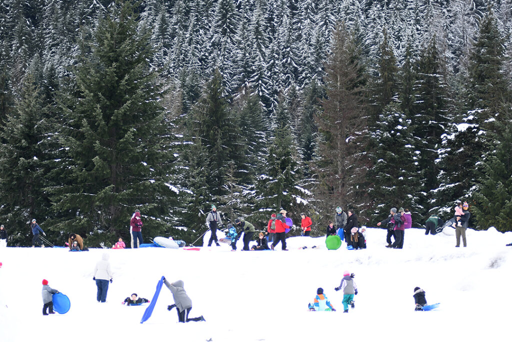 sledding Seattle photo by JiaYing Grygiel Dec. 28, 2020