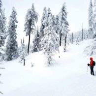 Jan. 1 hike