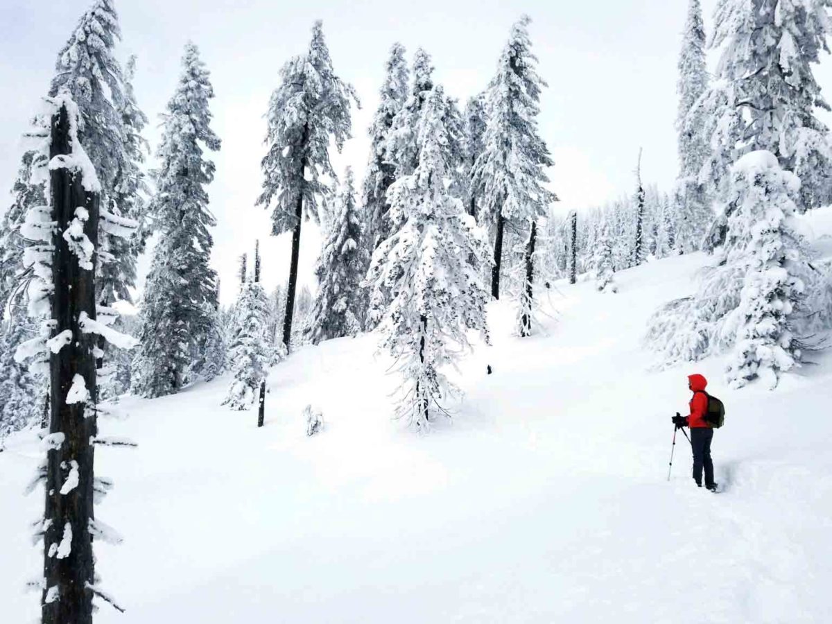 Jan. 1 hike