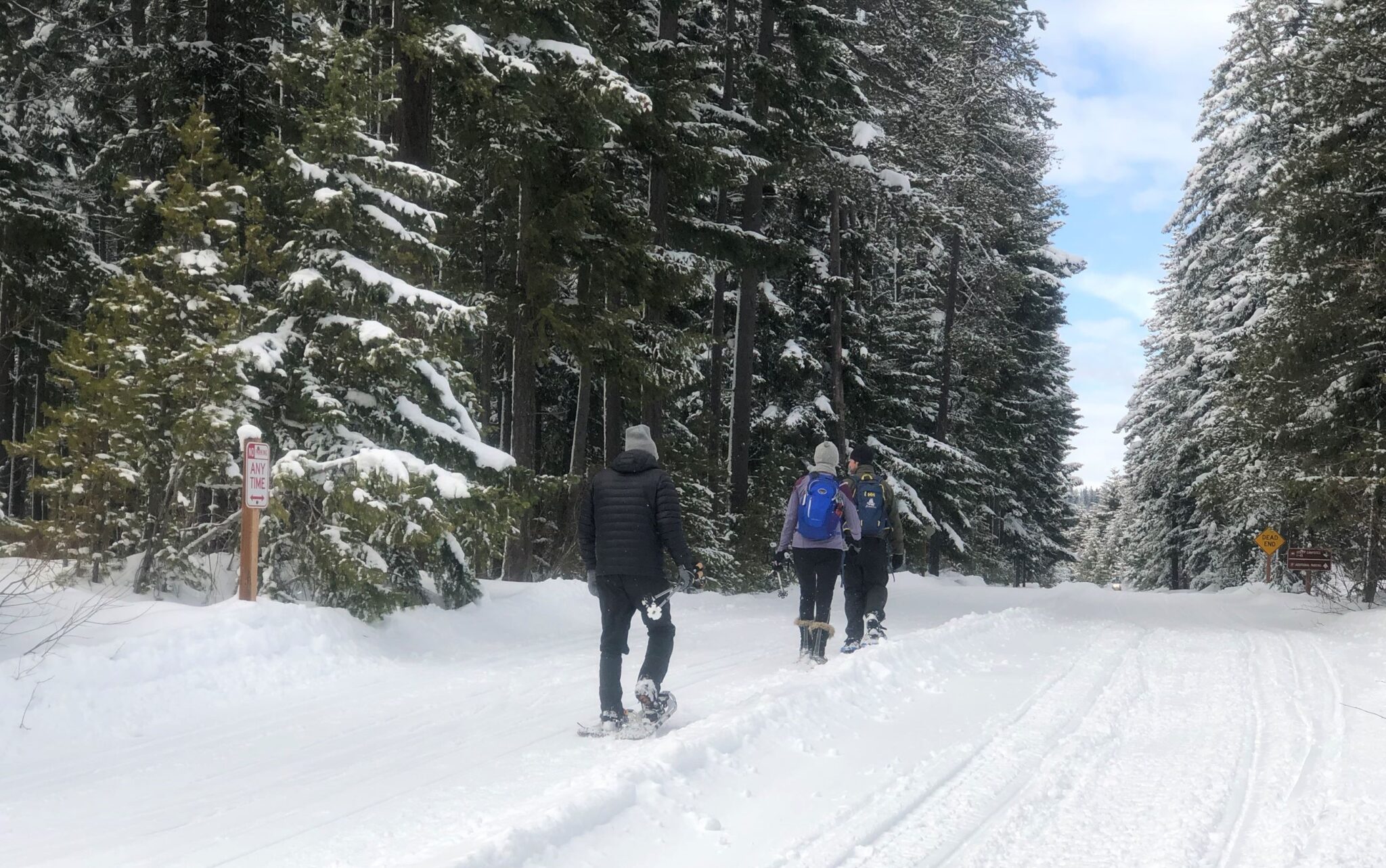 Guided snowshoe hike at Lake Easton State Park with families walking through snowy forest.