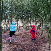 Seattle Chinese Garden