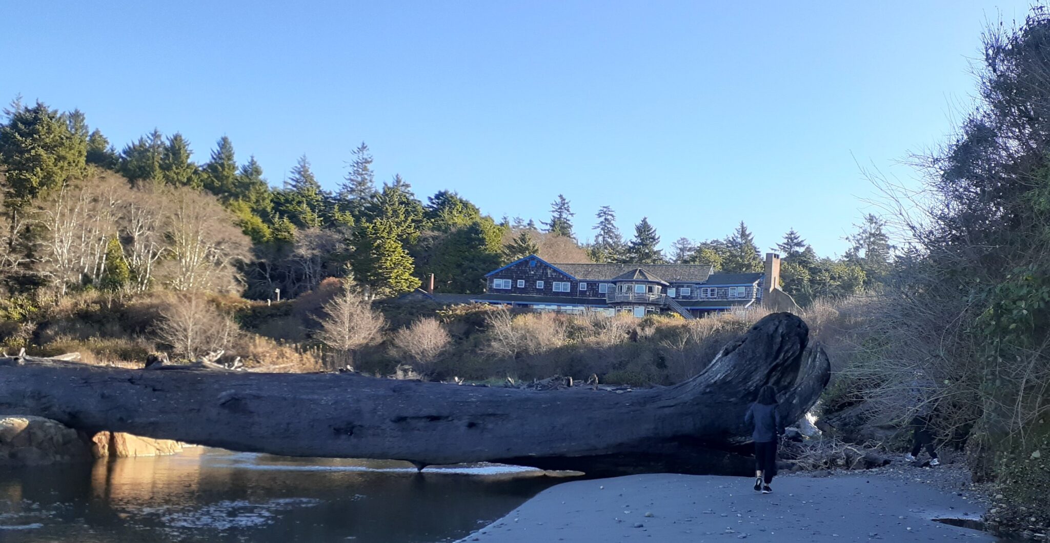 Kalaloch Lodge