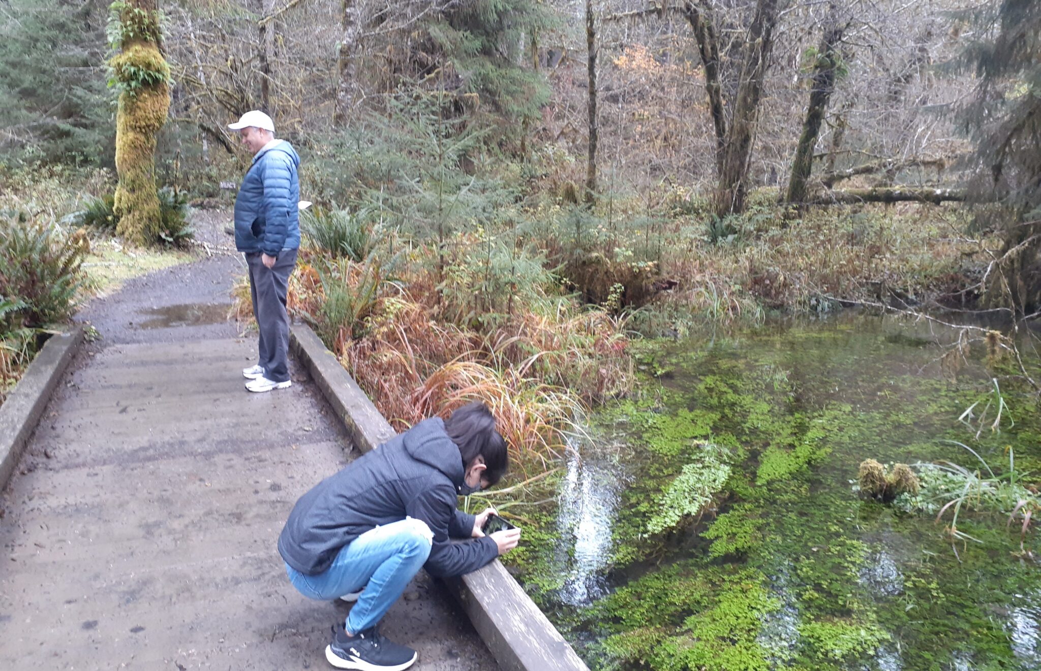 Olympic National Park family trip