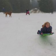 snow near Seattle