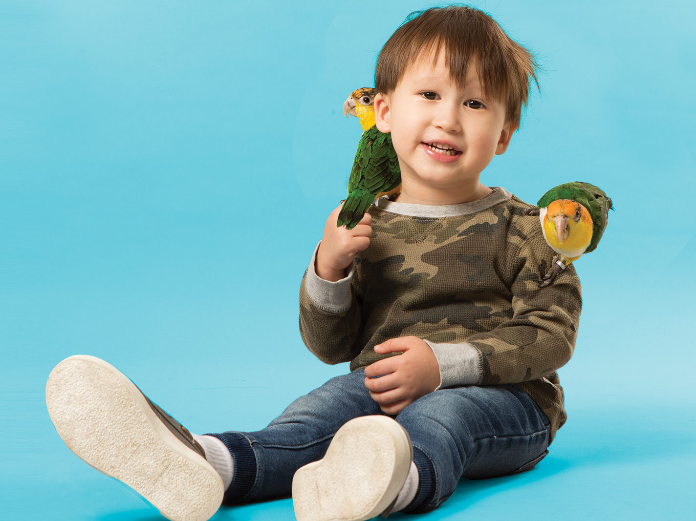 pet birds