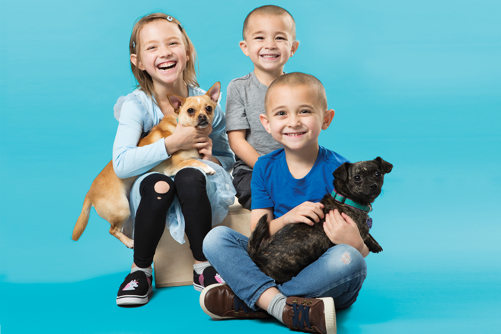 small dogs and kids