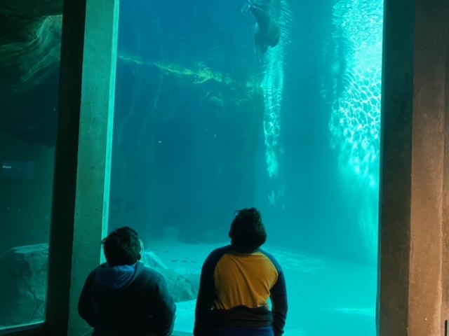 Seattle Aquarium