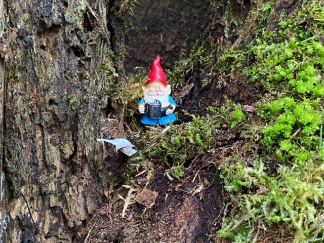 gnome trail