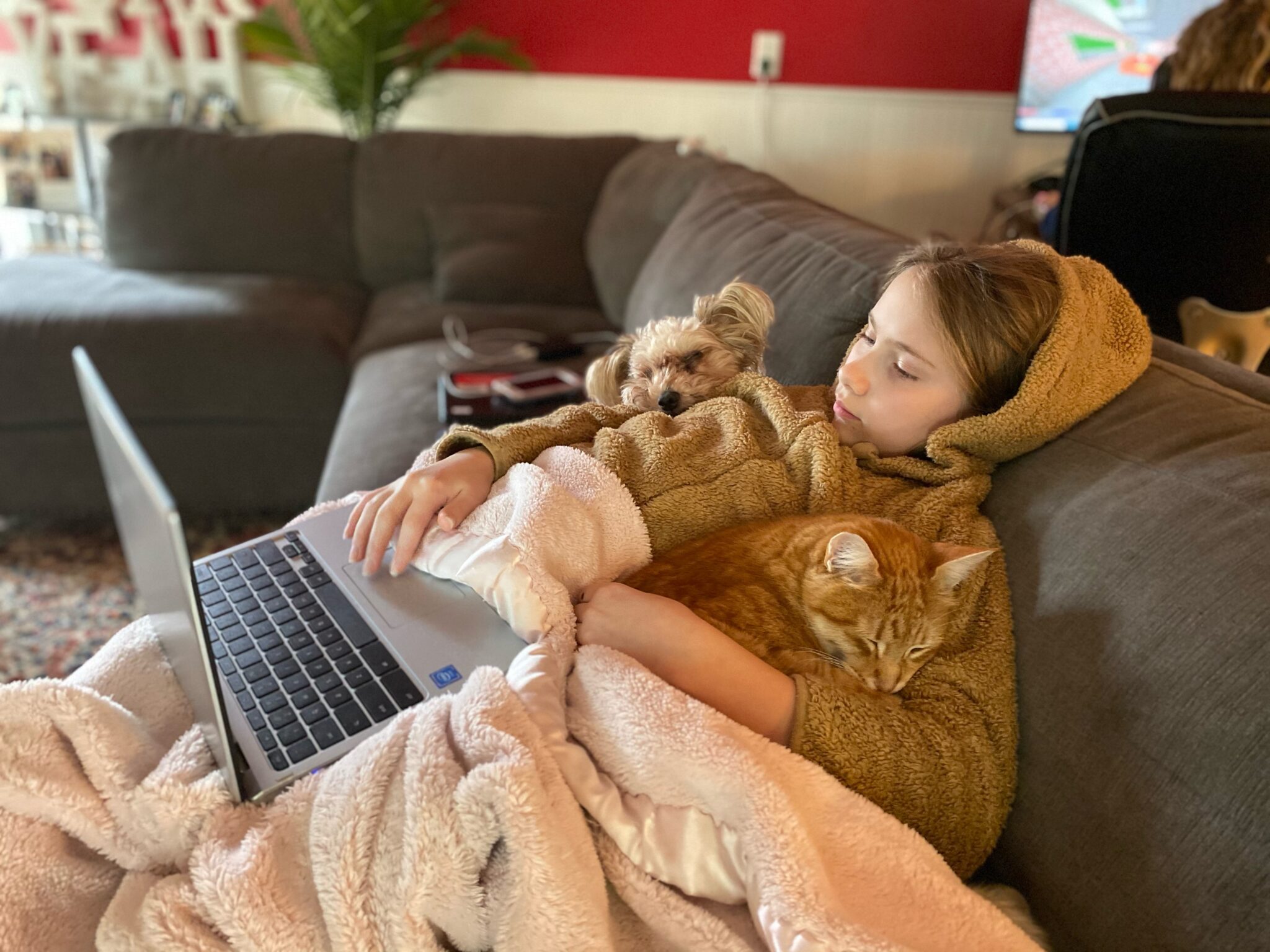 family pet contest