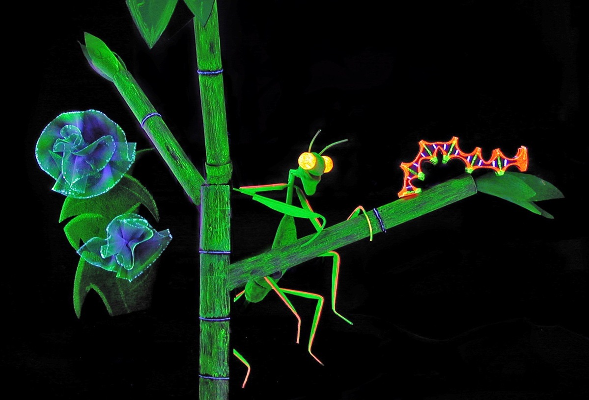 streaming puppet show