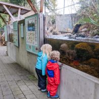 Northwest Stream Center