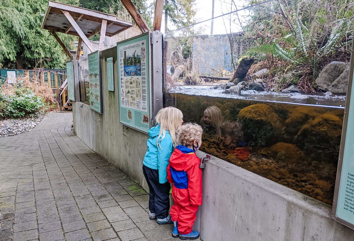 Northwest Stream Center
