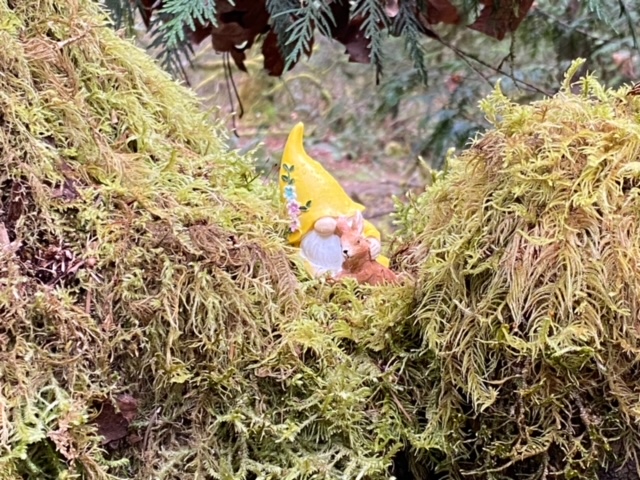 gnome trail