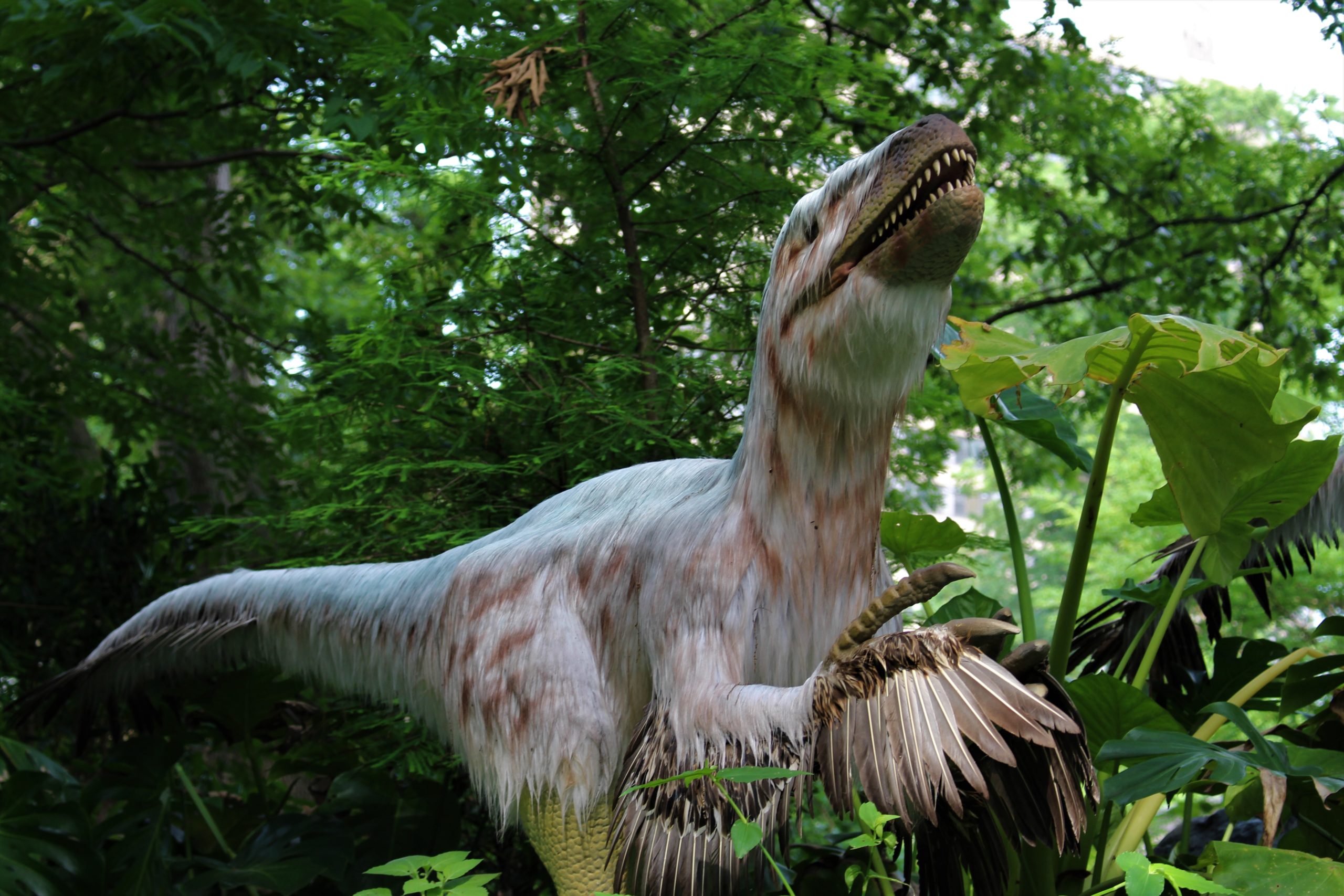 Dinosaurs Woodland Park Zoo