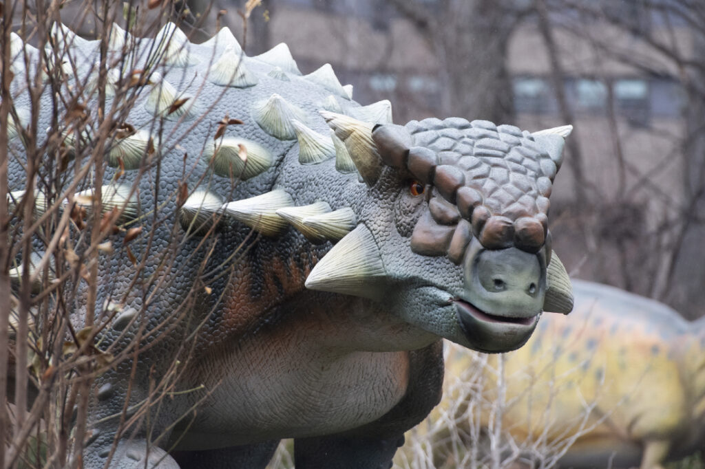Woodland Park Zoo