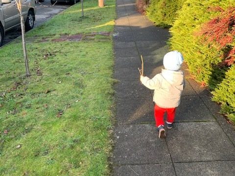 toddler walks