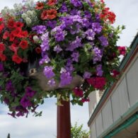 Issaquah day trip