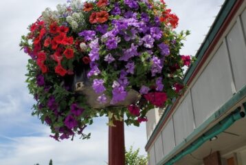 Issaquah day trip