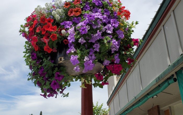 Issaquah day trip