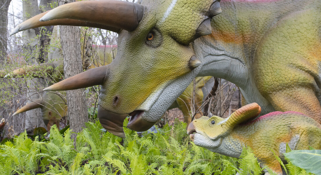 Dinosaurs Woodland Park Zoo